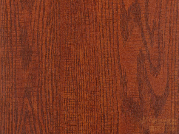 皇家紅橡 皇家紅橡